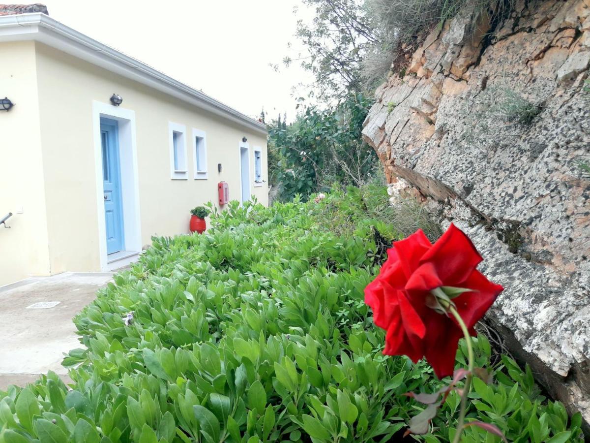 Odysseion Apartments Ithaka Exteriér fotografie